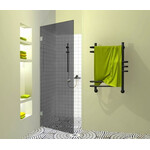 Berėmės dušo durys FR-D1 pilkai tonuotu stiklu