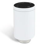 Salus termostatinė galva