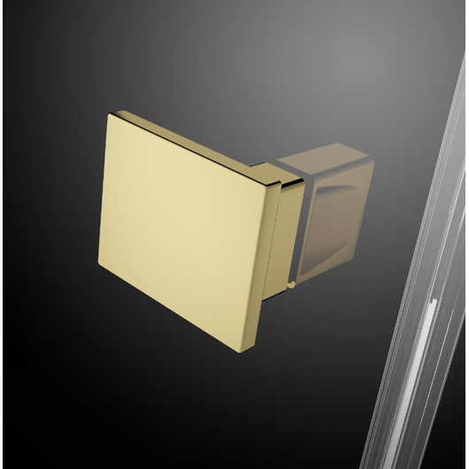 Radaway Essenza Pro Gold dušo kabinos auksinės spalvos detalės